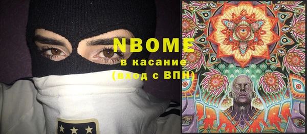 шишки Новозыбков