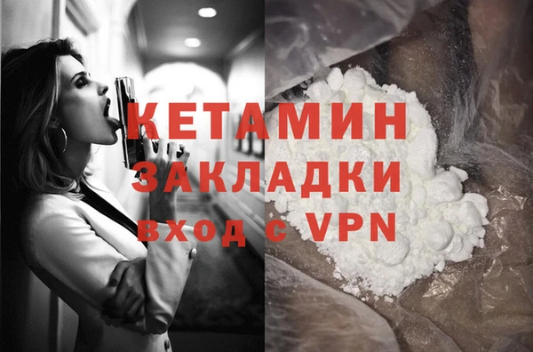 шишки Новозыбков