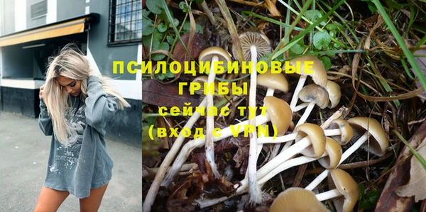 меф Няндома