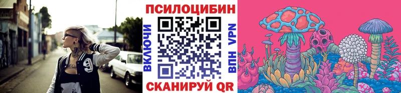 Купить закладки  Котлас  Псилоцибиновые грибы Magic Shrooms 