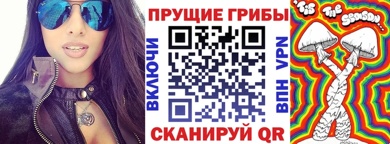 Галлюциногенные грибы ЛСД Котлас